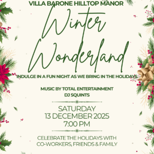 Winter wonderland