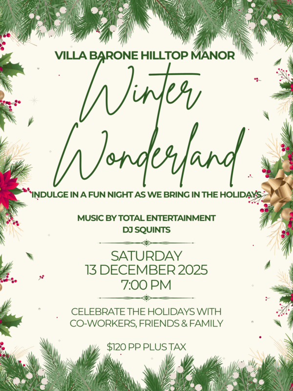 Winter wonderland