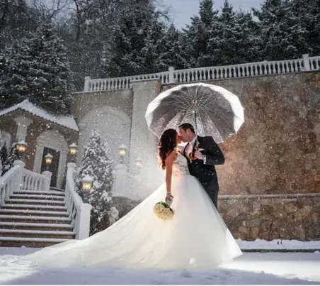 Rectangle-72-1_1_2_452x403 (1)